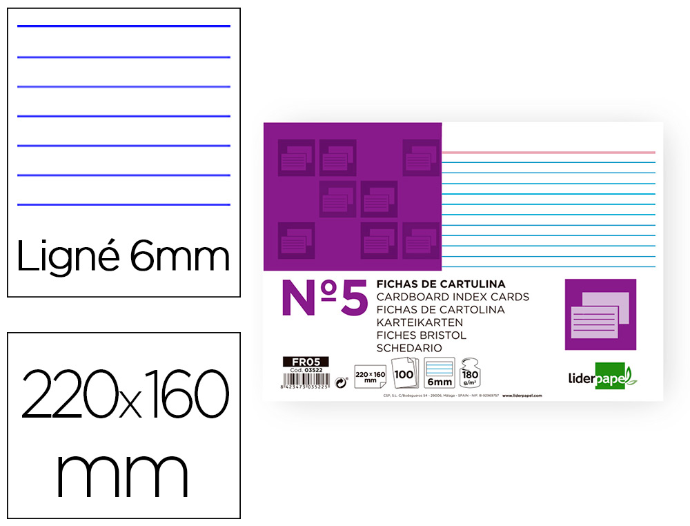 FICHAS EM CARTOLINA, EMB. COM 100, 160X220 MM, PAUTADO