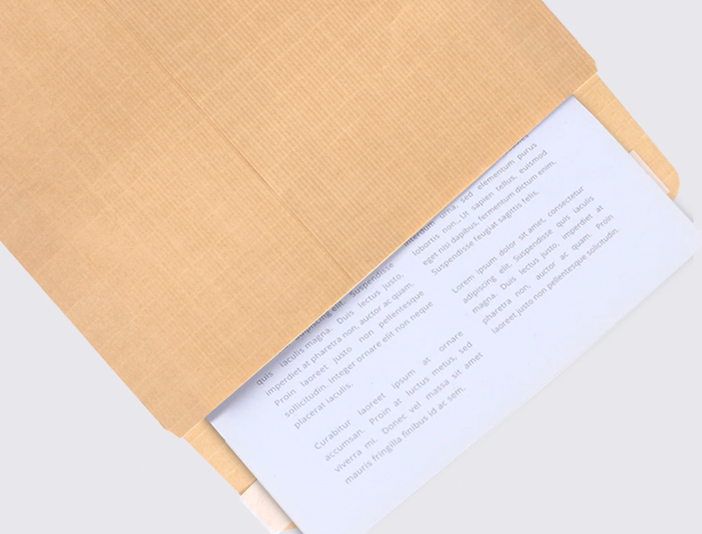 ENVELOPE LIDERPAPEL BOLSA FOLIO ESPECIAL CASTANHO 260X360 MM TIRA DE SILICONE PACK DE 100 UNIDADES