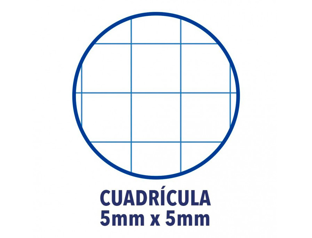 RECARGA COR 1 OXFORD DIN A4+ 80 FOLHAS 90 GR QUADRICULA 5 MM 4 FUROS COR ROXO