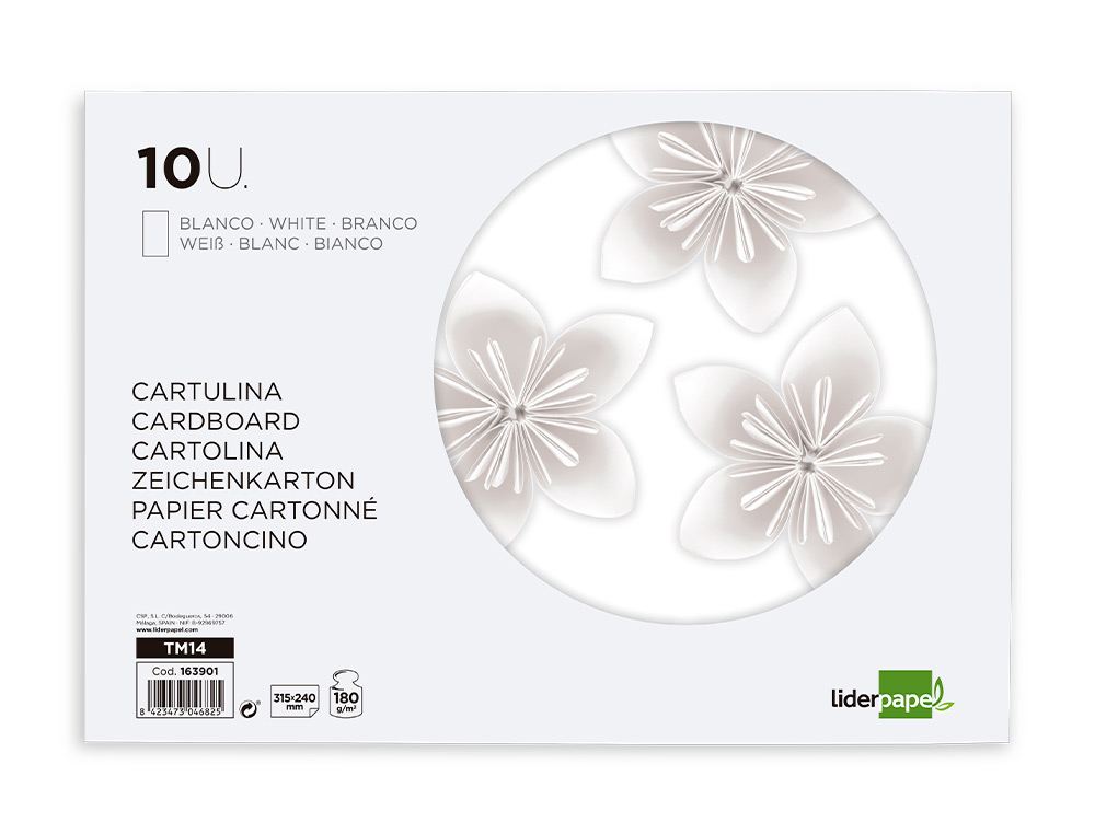 BLOCO TRABALHOS MANUAIS LIDERPAPEL CARTOLINA 240X315MM 10 FOLHAS COR BRANCO