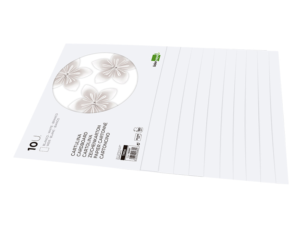 BLOCO TRABALHOS MANUAIS LIDERPAPEL CARTOLINA 240X315MM 10 FOLHAS COR BRANCO
