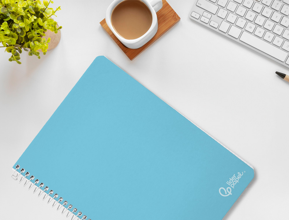 CADERNO ESPIRAL LIDERPAPEL WITTY DIN A4 CAPA DURA 80F 90GR PAUTADO COM MARGEM CORES SORTIDAS