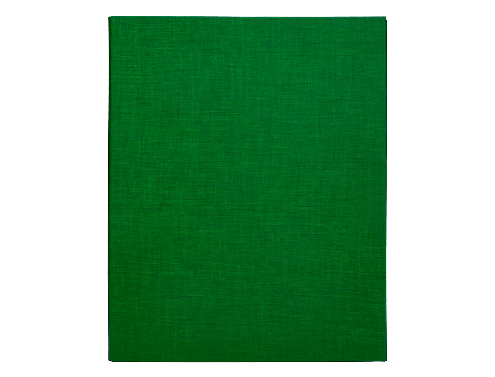 CAPA LIDERPAPEL PAPER COAT 4 ANEIS 25 MM FORRO PVC FOLIO VERDE
