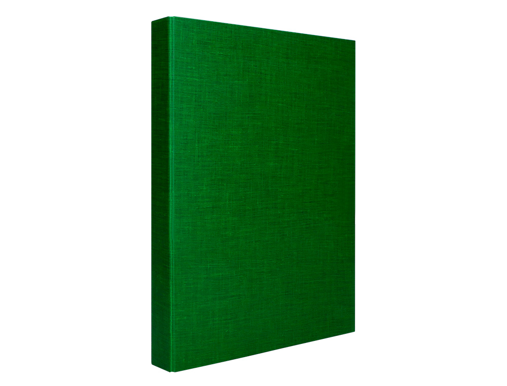 CAPA LIDERPAPEL PAPER COAT 4 ANEIS 25 MM FORRO PVC FOLIO VERDE