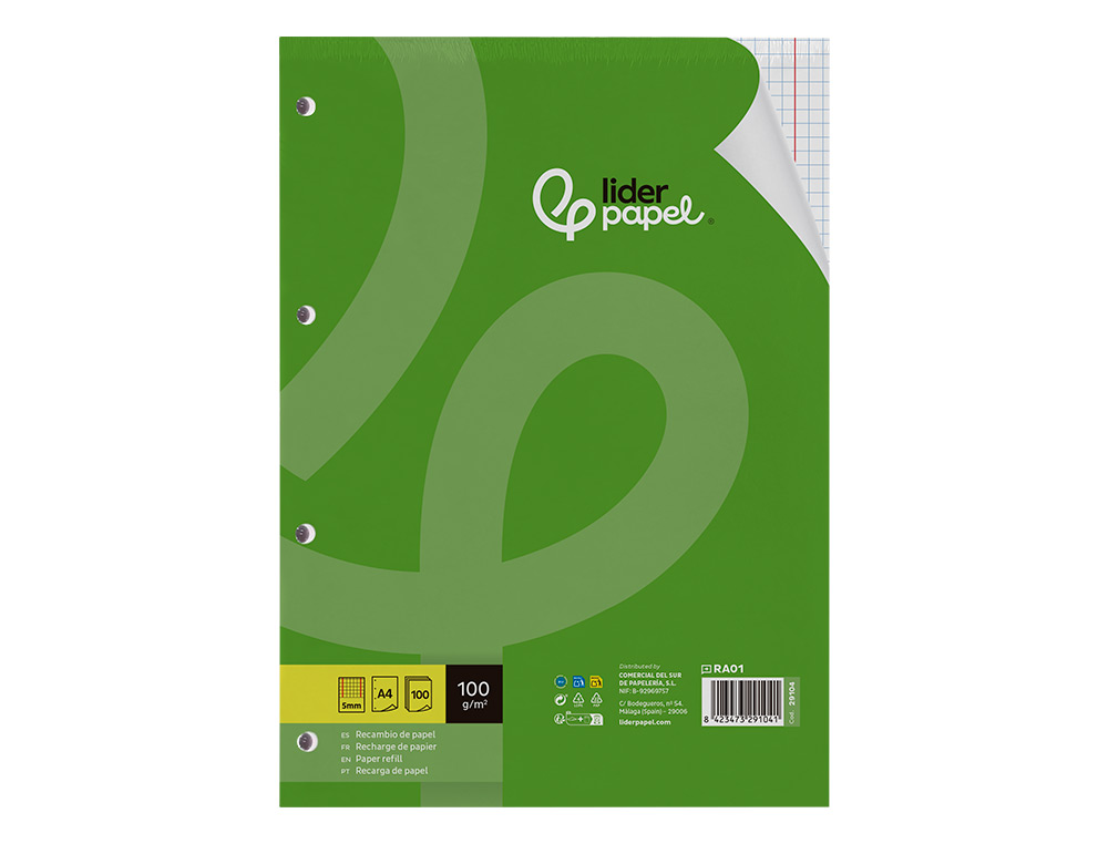 RECARGA LIDERPAPEL DIN A4 100 F 100 GR QUADRICULADO