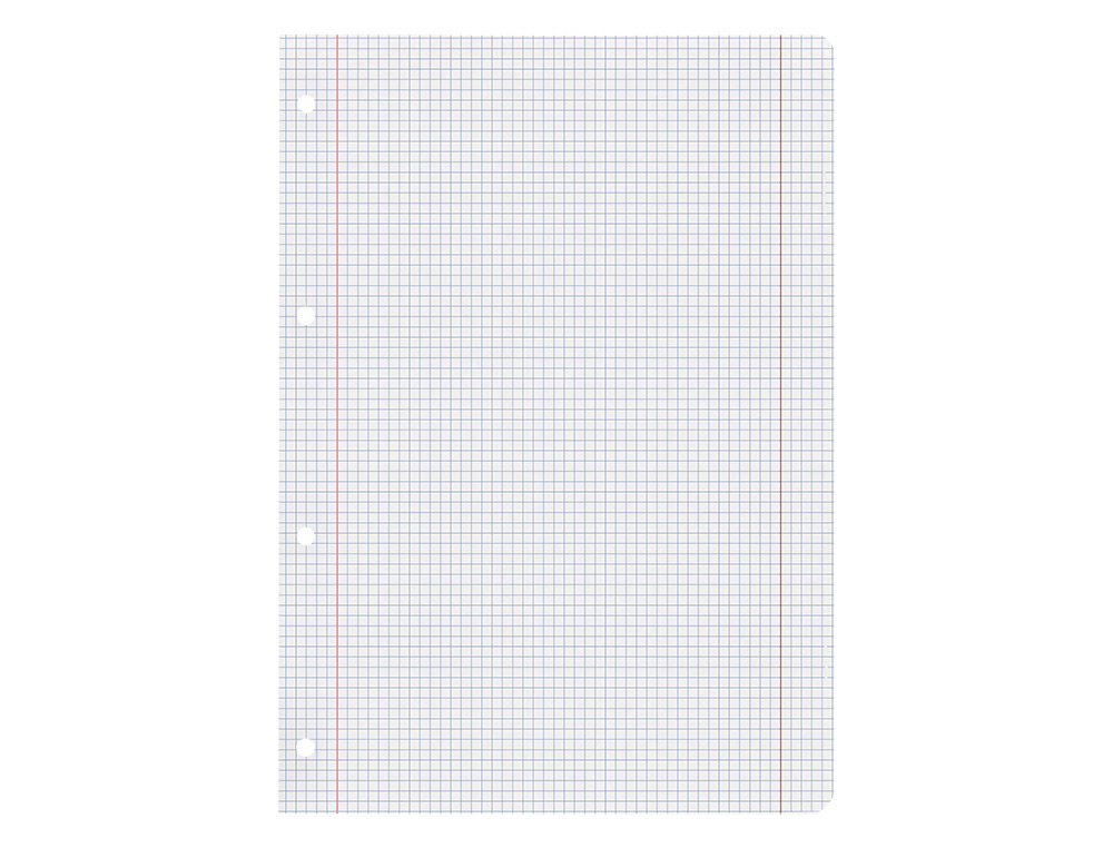 RECARGA LIDERPAPEL DIN A4 100 F 100 GR QUADRICULADO