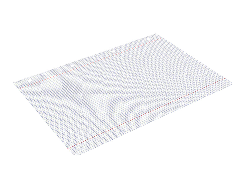 RECARGA LIDERPAPEL DIN A4 100 F 100 GR QUADRICULADO