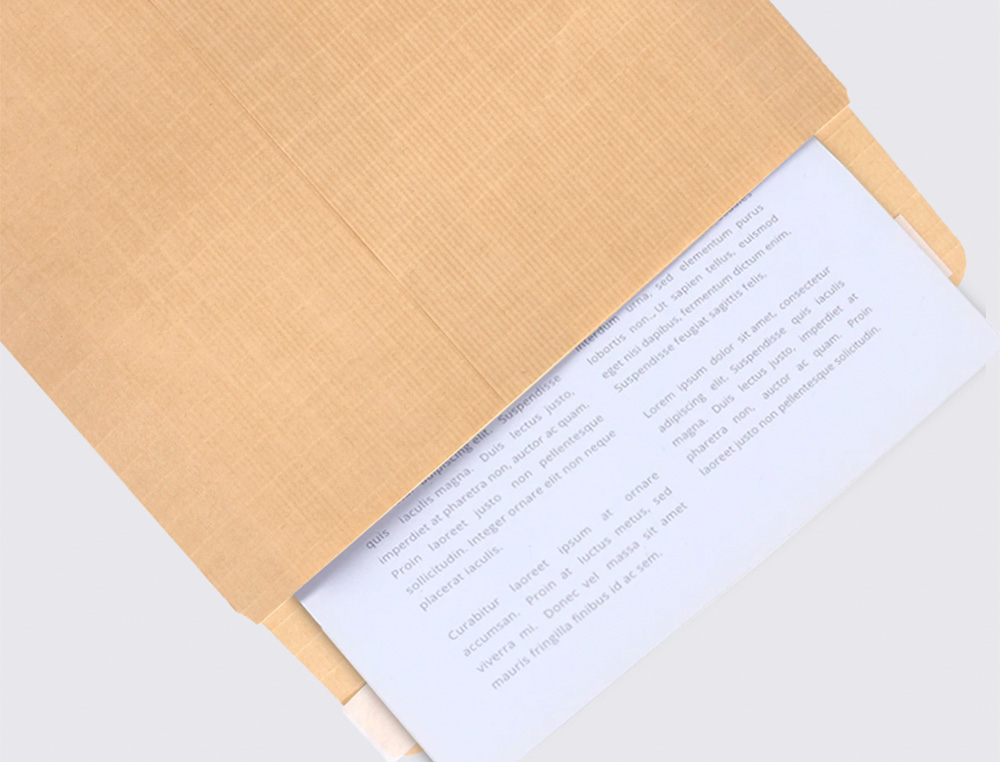 ENVELOPE LIDERPAPEL N.4 SALARIOS CASTANHO 140X190MM SEM JANELA PACK DE 500 UNIDADES