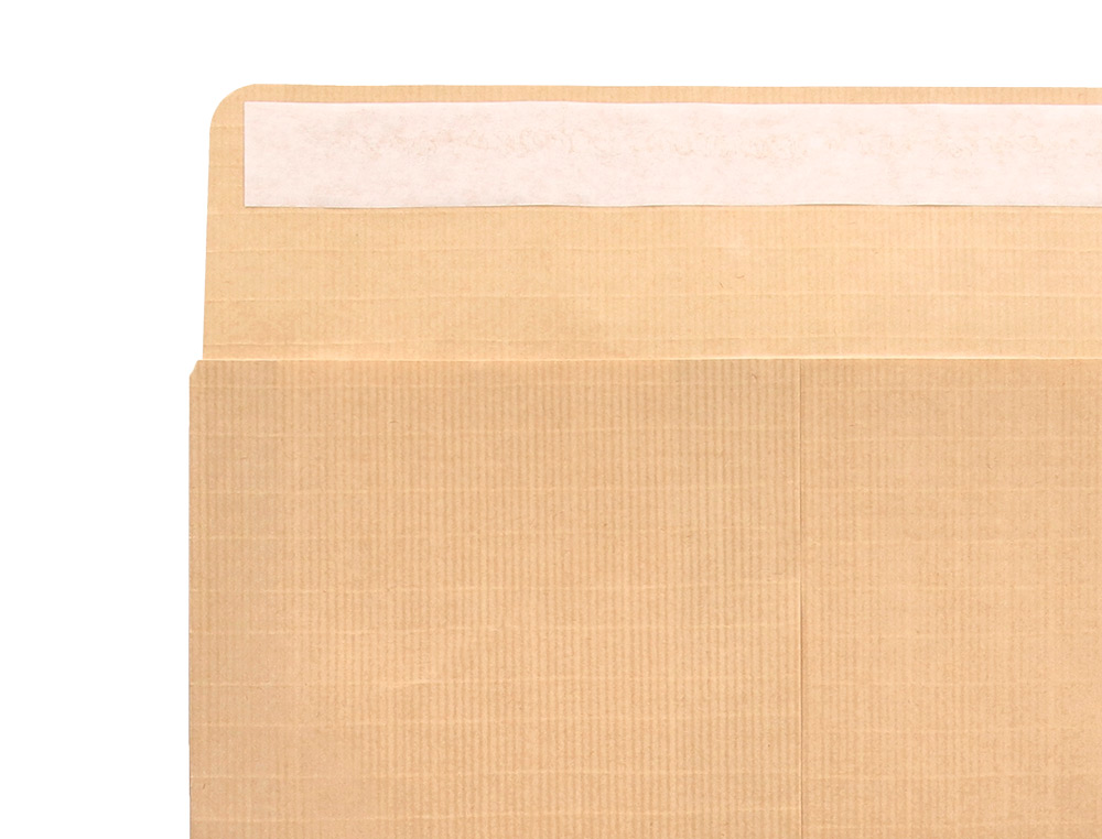 ENVELOPE LIDERPAPEL N.5 BOLSA C5 CASTANHO 162X229 MM TIRA DE SILICONE PACK DE 250 UNIDADES