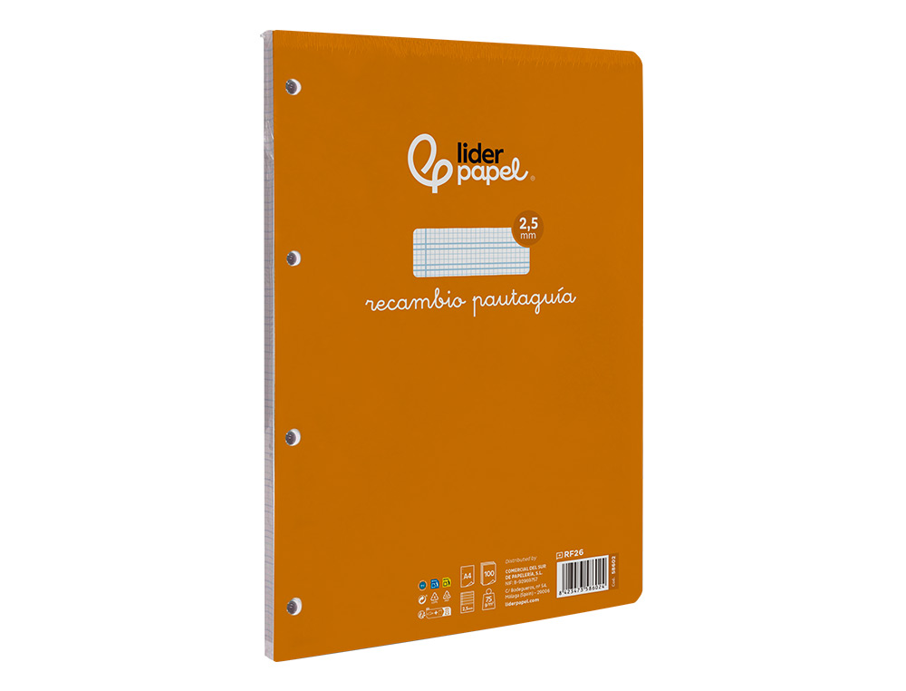 RECAMBIO LIDERPAPEL FOLIO 100 H 4 TALADROS 70 GR CUADRICULADO PAUTADO 2,5 MM CON MARGEN