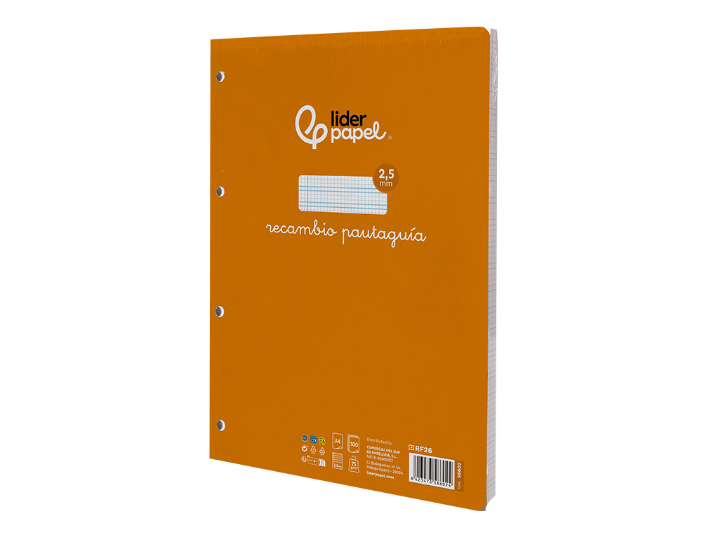 RECAMBIO LIDERPAPEL FOLIO 100 H 4 TALADROS 70 GR CUADRICULADO PAUTADO 2,5 MM CON MARGEN