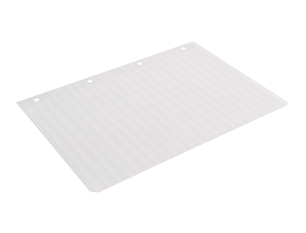 RECAMBIO LIDERPAPEL FOLIO 100 H 4 TALADROS 70 GR CUADRICULADO PAUTADO 2,5 MM CON MARGEN